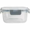 Home Essentials Fresh Sq 17.6oz Lock Lid Container Kitchen & Pantry Storage