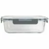 Home Essentials Fresh Rectangle 21.6 Lock Lid Container Kitchen & Pantry Storage